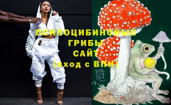 соль ск Тында