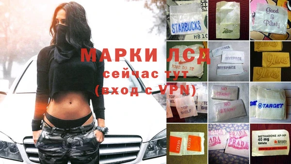 СК Усмань