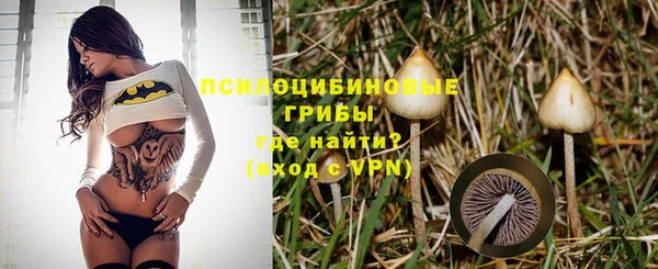 соль ск Тында
